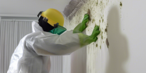 Mold Remediation