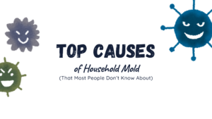 mold