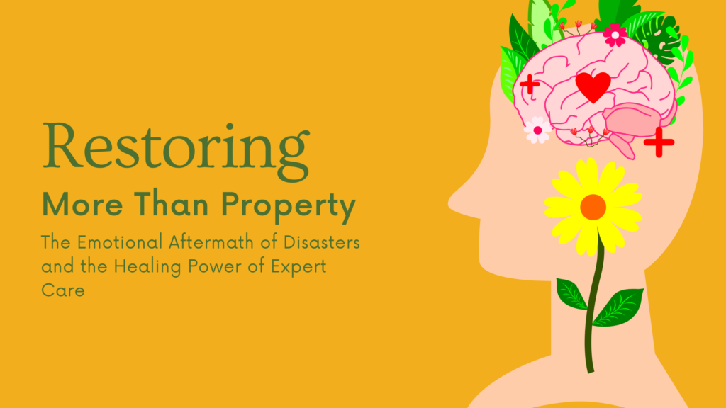 The Emotional Aftermath of Disasters and the Healing Power of Expert Care